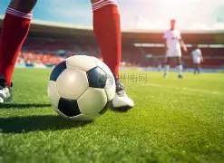 魔术击败湖,人终止九连,浓眉缺席詹,PA真人,PA真人官网,PA真人娱乐,PA真人游戏,PA真人视讯