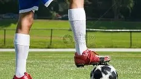 PA真人 产品 102412 rr0