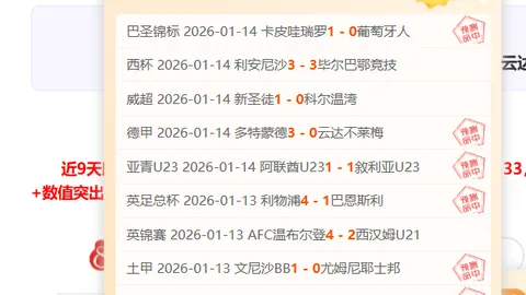 NBA大乐透期号专家推荐：魔术对决独行侠质合分析